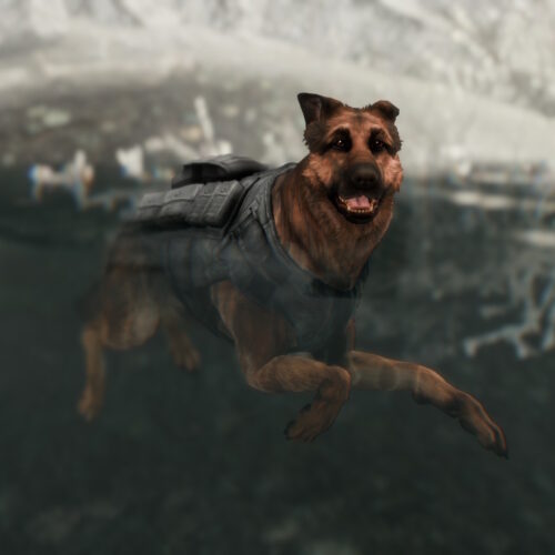 20200310034010_1