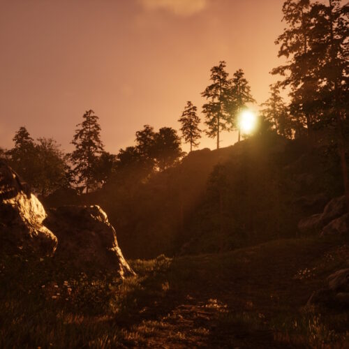 20250508000529_117_1